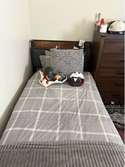 Twin XL Bed frame + Mattress