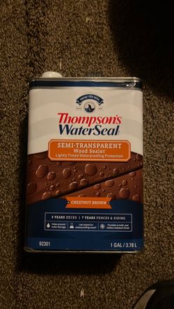 Thompson's WaterSeal Semi-Transparent Wood Sealer 1 Gallon