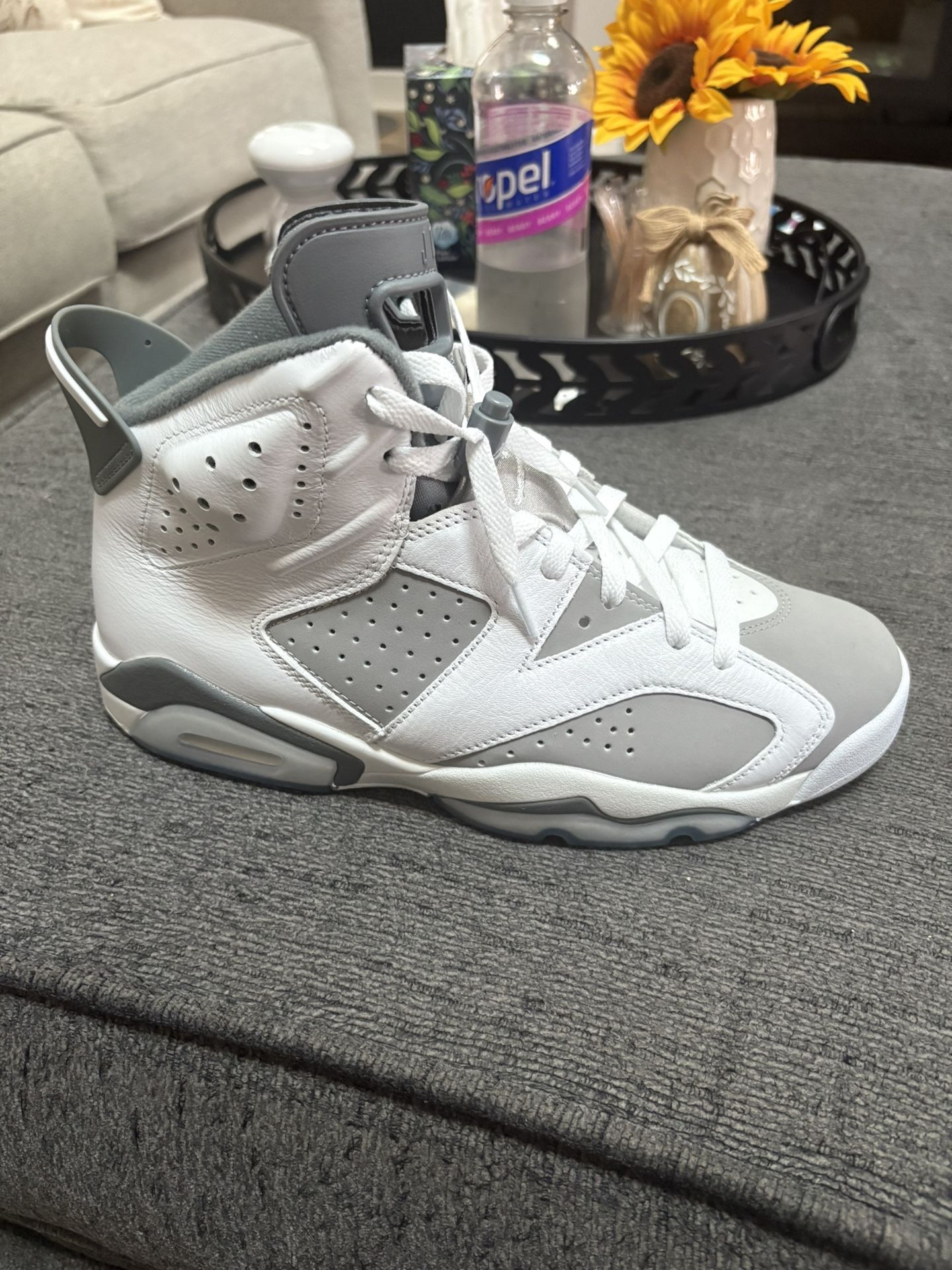 Jordan 6 Cool Grey Size 9