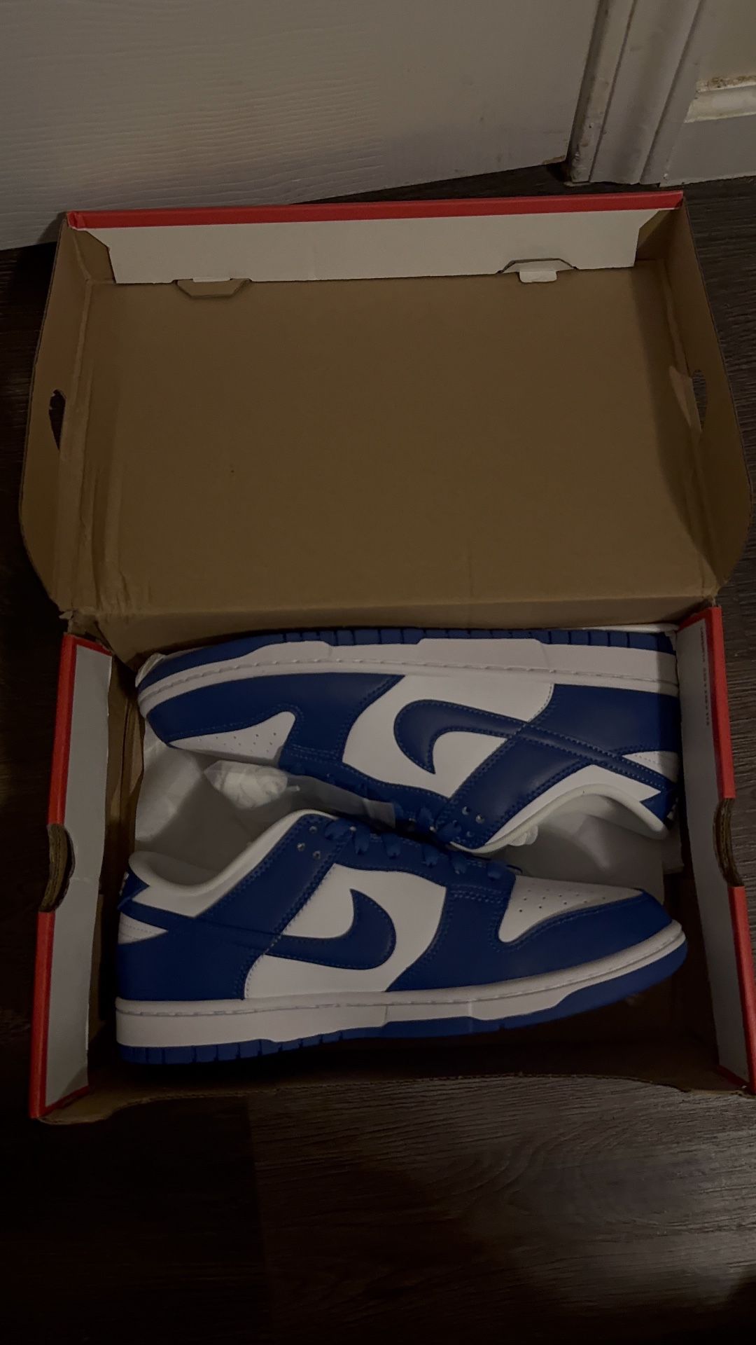 Nike Dunk Low SP Kentucky