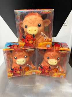 Highland Cow