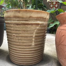 *prices vary per pot* Potted Plant Terracotta Pot