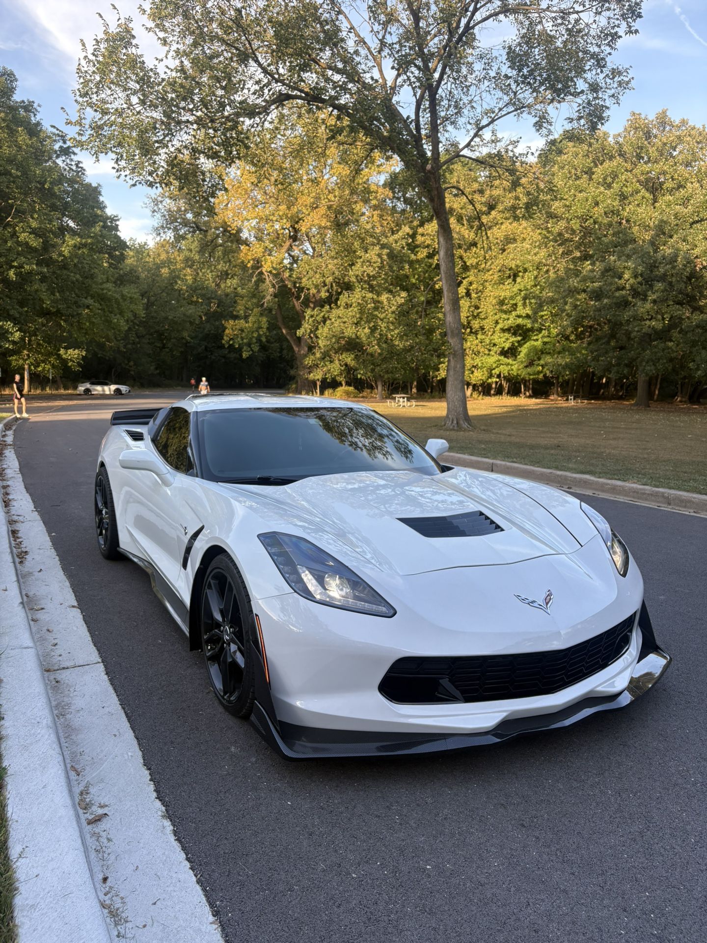 2014 PROCHARGED MANUAL C7