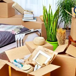 ✨ Moving Sale – Everything Must Go ✨