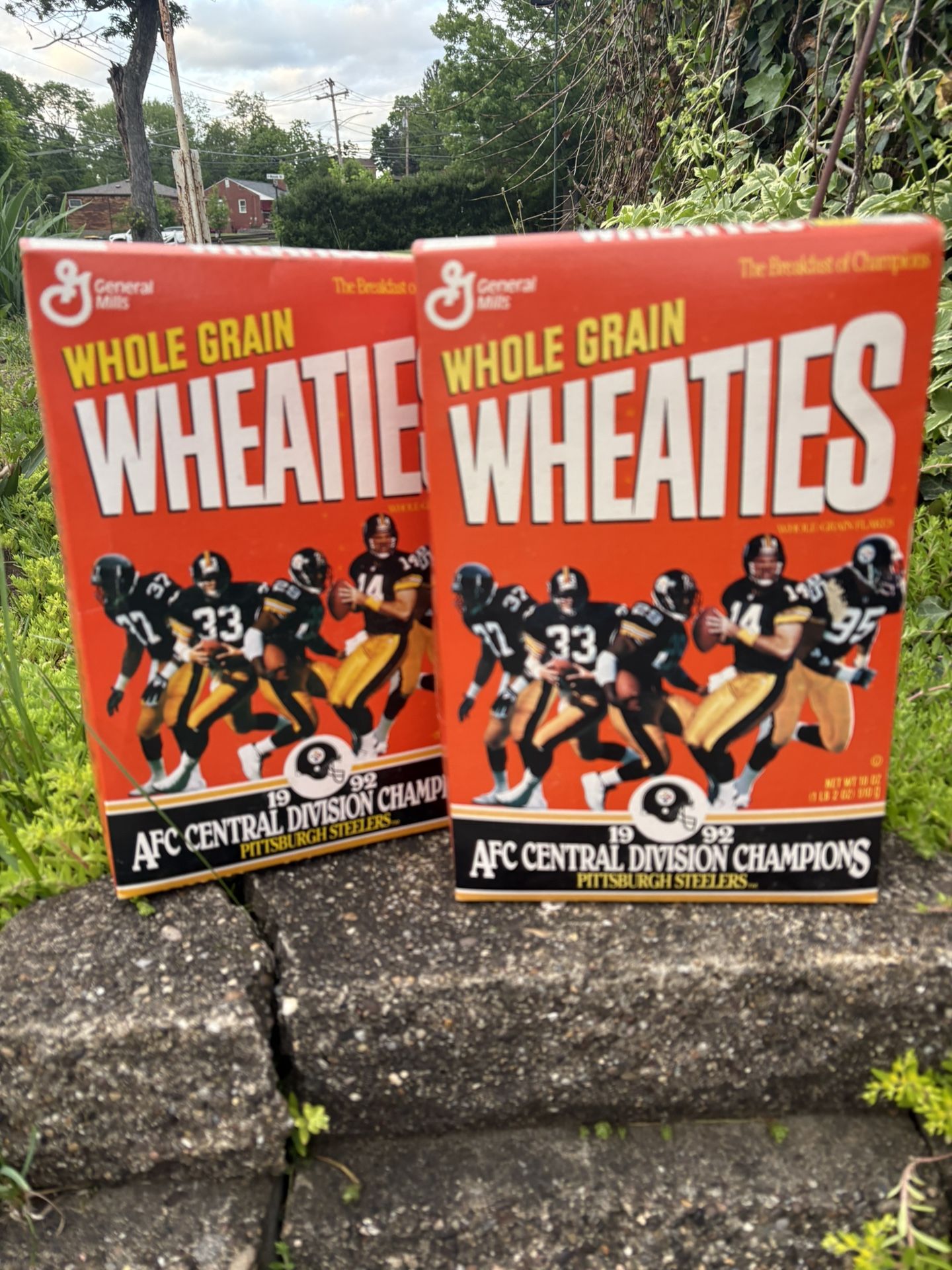 PITTSBURGH STEELERS 1992 AFC CENTRAL DIVISION CHAMPIONS WHEATIES SEALED!!