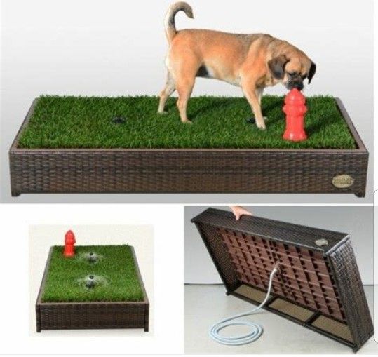 Porch potty- dog potty