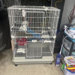 Ferret Cage