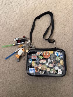 Entire Pin Lot and Keychains