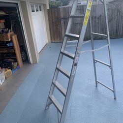 Ladder 8 Foot