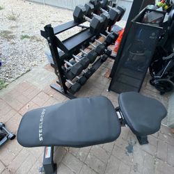 Dumbbells 10lb-60lbs & Adjustable Flat Bench