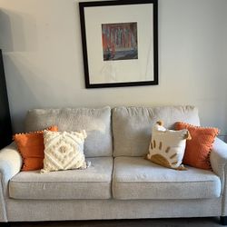 Ashley Couch With 6 Pillows 