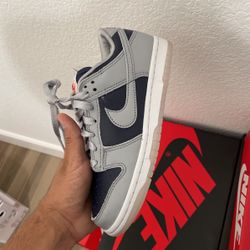 Nike Dunk 6w Brand New