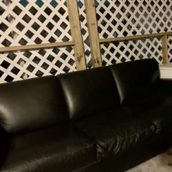 Black Couch