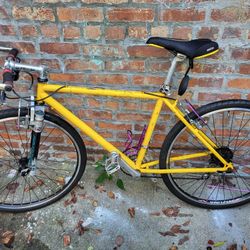 1990s Fat Chance Mountain Bike 