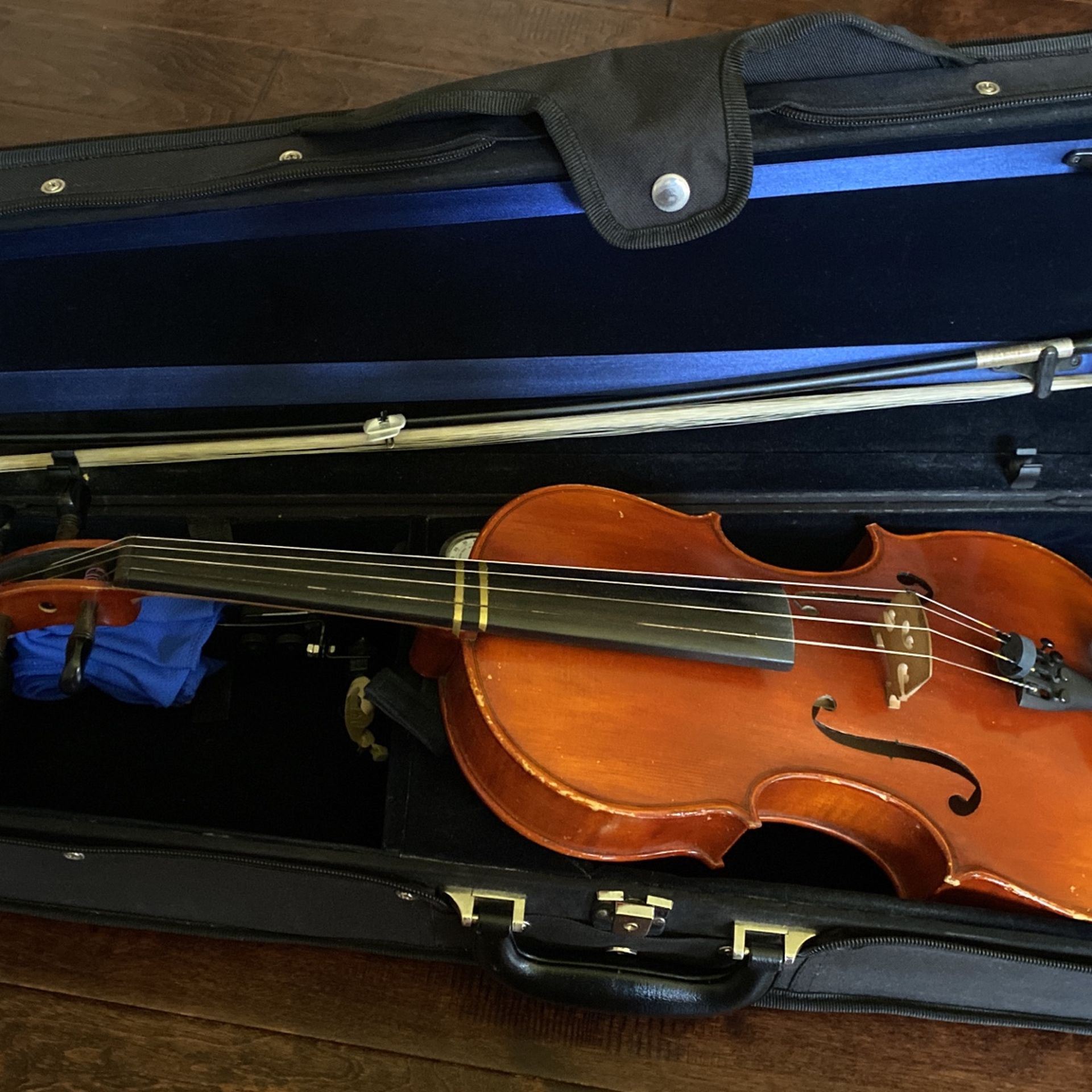 Fish burn Viola Stringed instruments