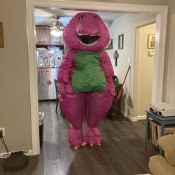 Barney Costume Inflatable 