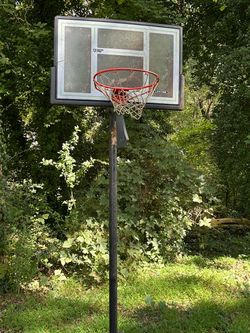 Lifetime Portable Basketball Hoop – Adjustable