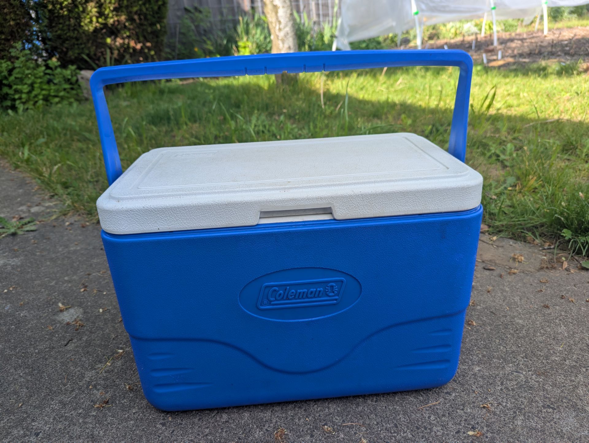 Coleman Cooler Blue