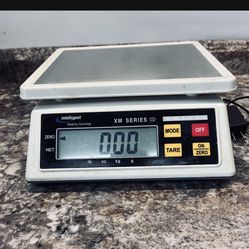 Catering Scale