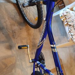 Mongoose Bike