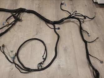 Ls Swap.  Harness Pcm Flash/ Startup