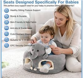 Sit Up Floor Seat for Baby 3-24 M