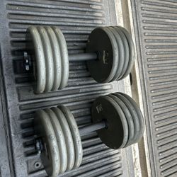 85lbs adjustable dumbbell pair home gym (170lbs in total) only 10lbs increments home gym complete