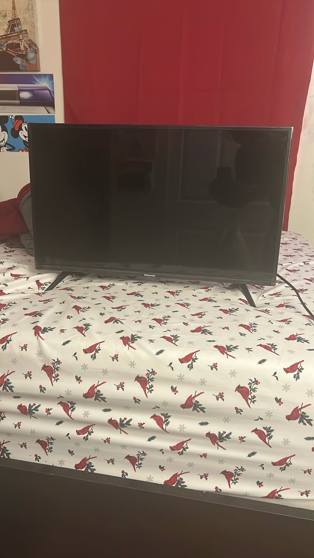 32 Inch Hisense Tv