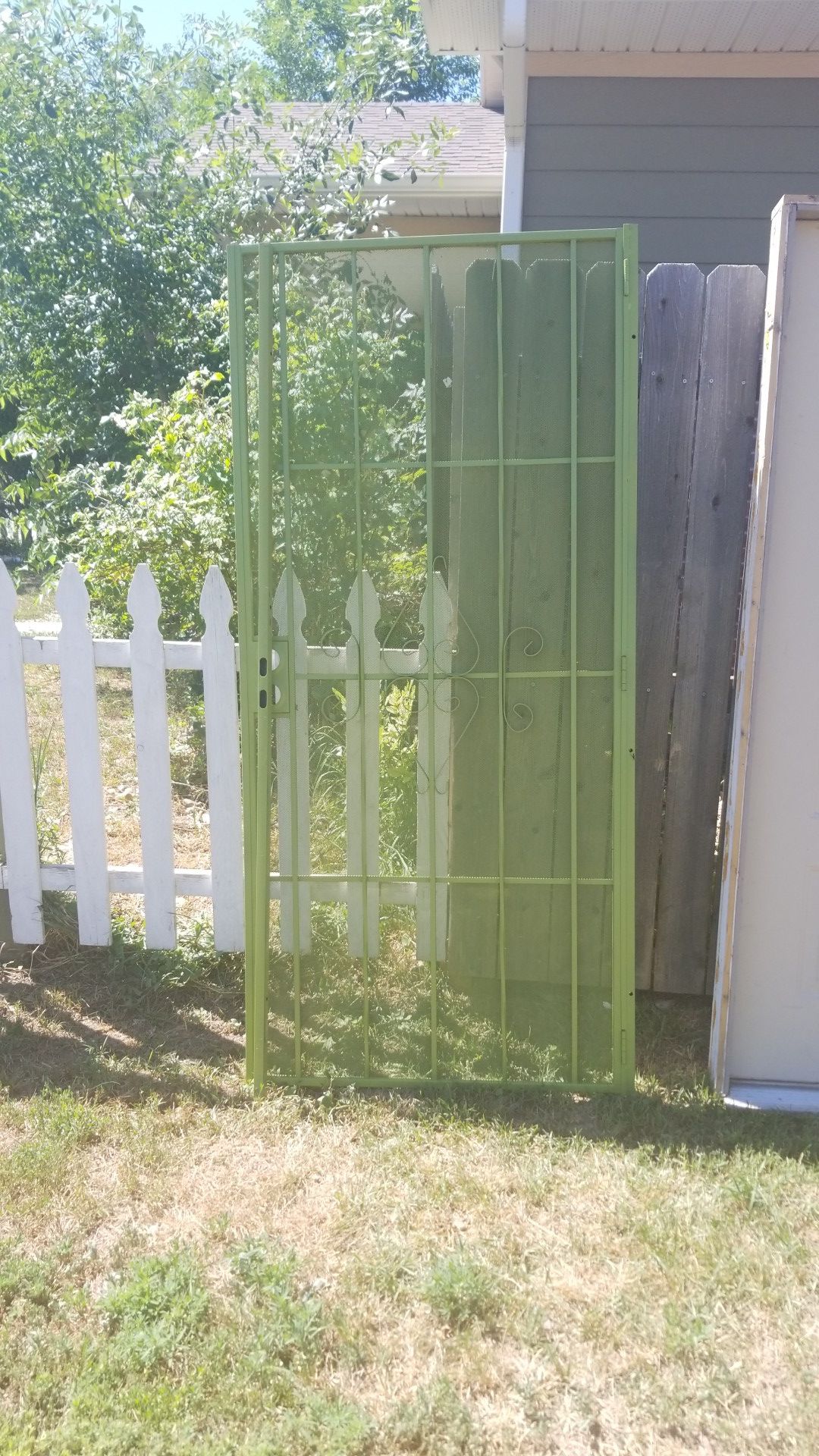 steel security door eaten green