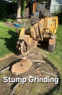 Stump Remove Trailer Trash