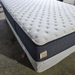 Beatty Rest Platinum 