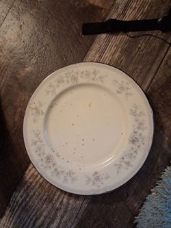 Dinner plates