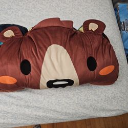 Kids Bear Sleeping Bag