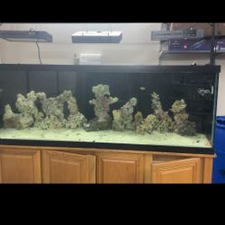 150g Tank, Stand And 40g Sump 