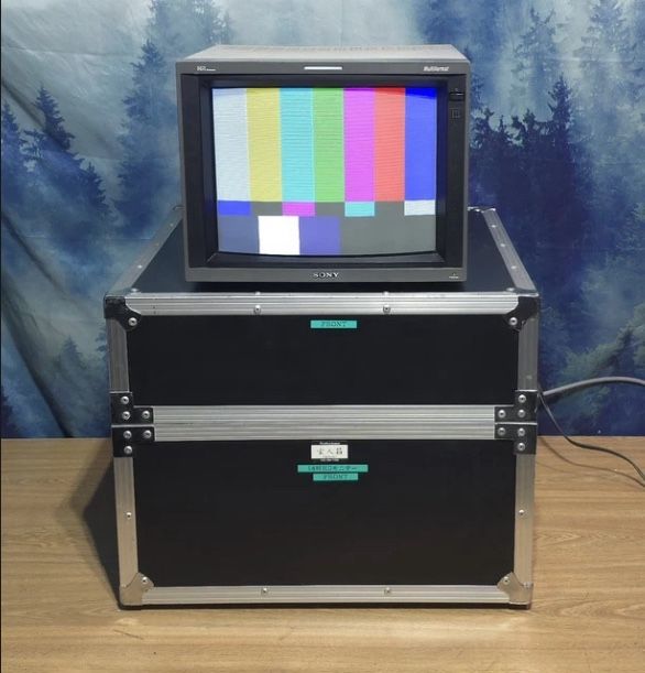 Sony PVM D14L5 Multiformat