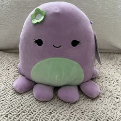 Squishmallow 