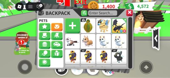 Rare shadow dragon adopt me pets