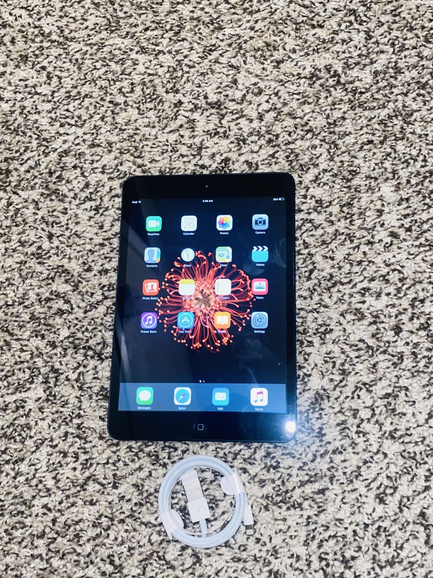 iPad Mini 16GB