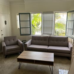 Mid-Century Style Couch Sofa Set