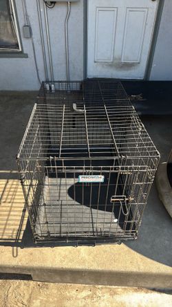 Dog Kennel Large