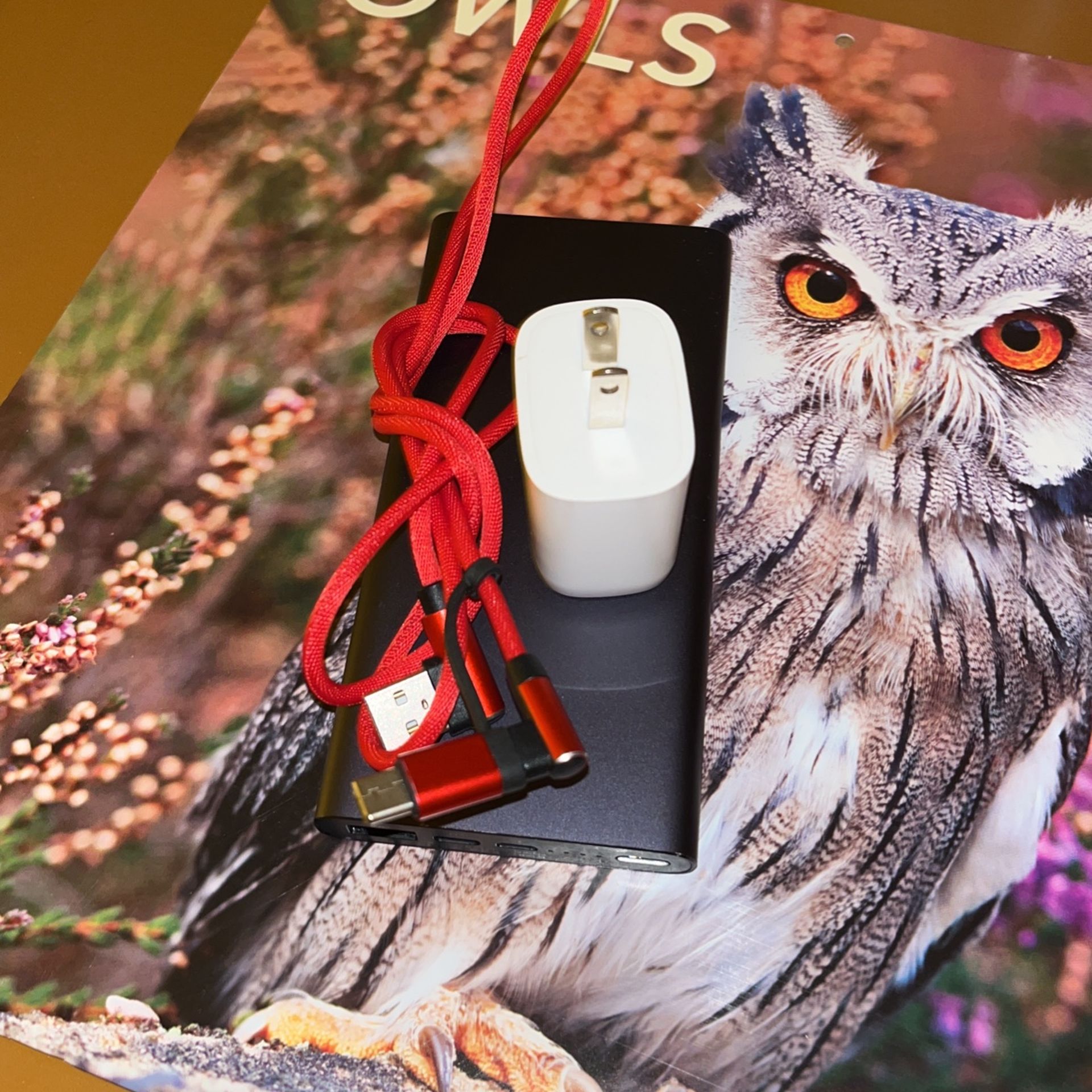 LED Night Light Projector