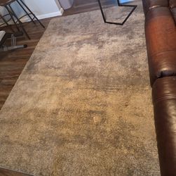 Area Rug