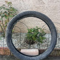 Bike Tire 20inch