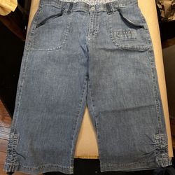 WM#1009, Womens Size 10 Petite Stretch Capri Above The Knee