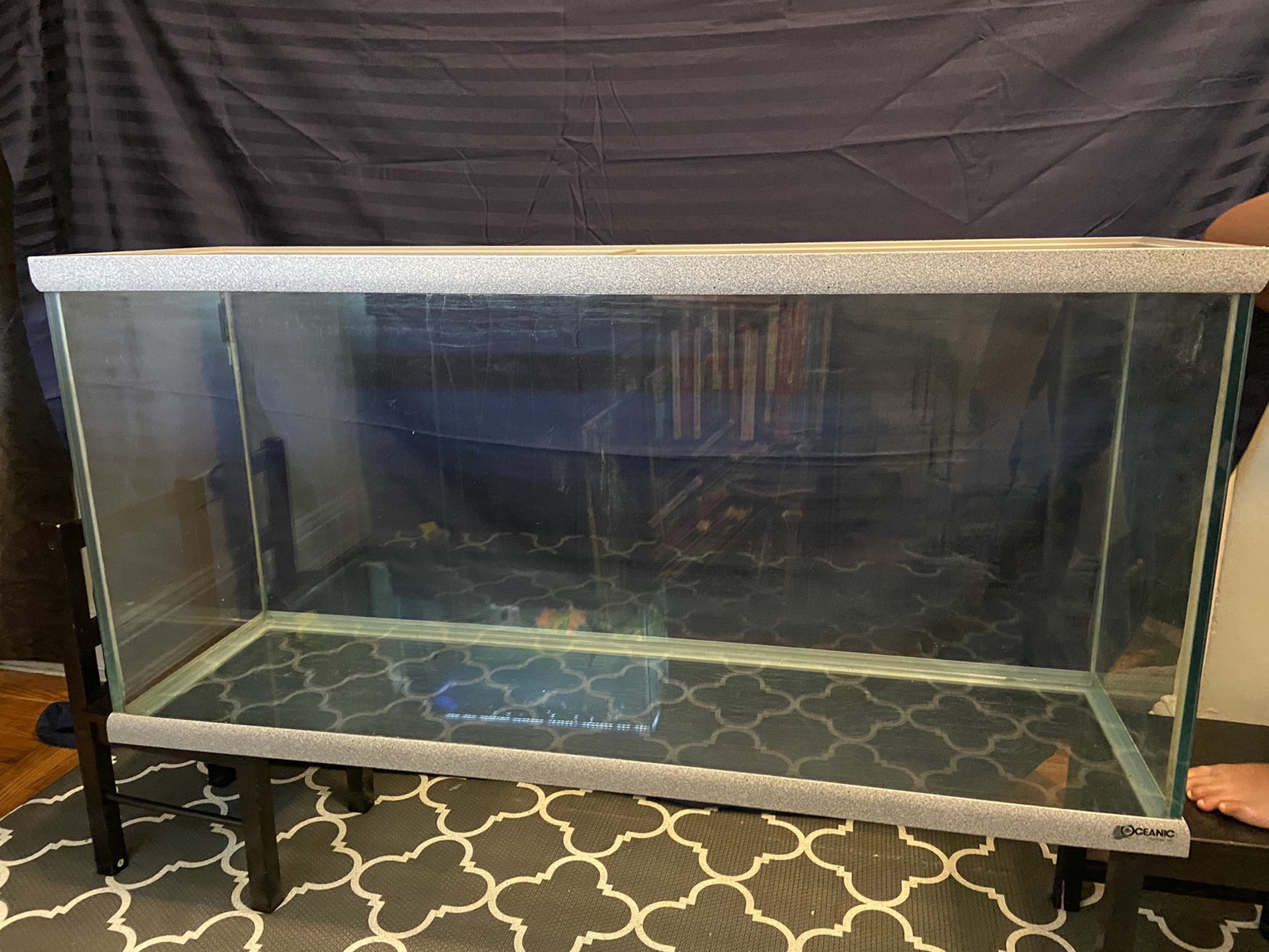 55 gallon fish/reptile tank glass, gray granite trim