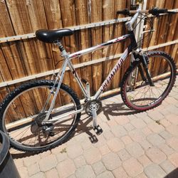 Specialized- Hardrock 