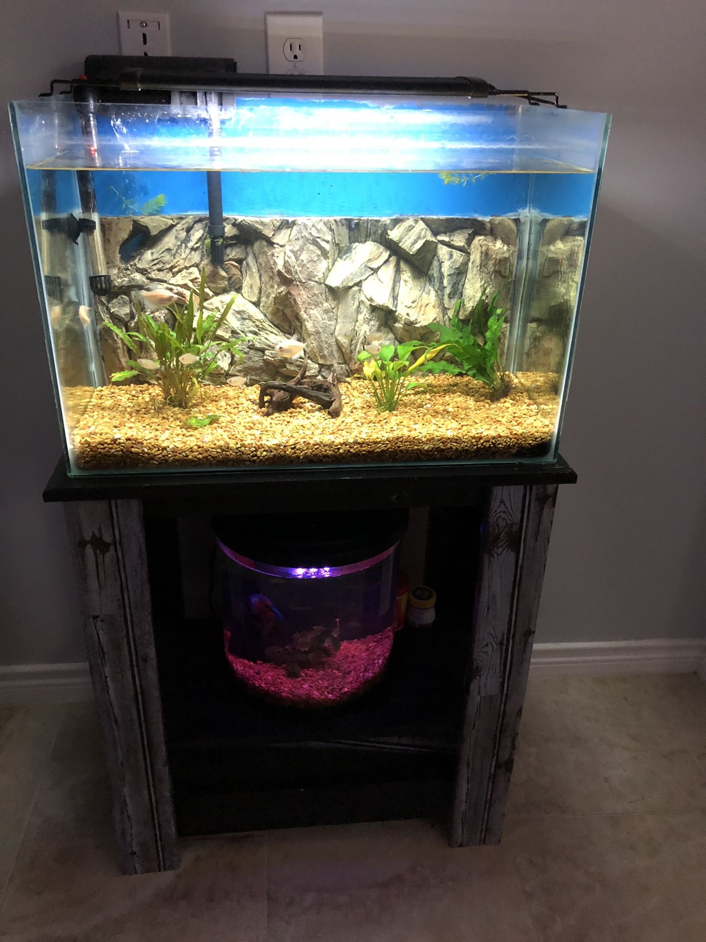 20 gallon fish tank. Tank stand 3D background filter and light. Gravel if you want it