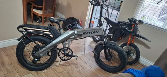 E-bike/Rattan e-bike