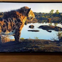 65” LG 4K LED TV