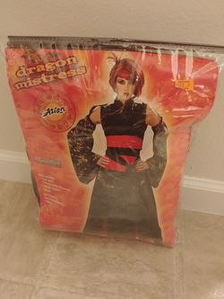 Dragon Mistress/Geisha/ninja Halloween Costume